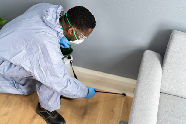 Real Estate Pest Inspections in Tilton Northfield, NH